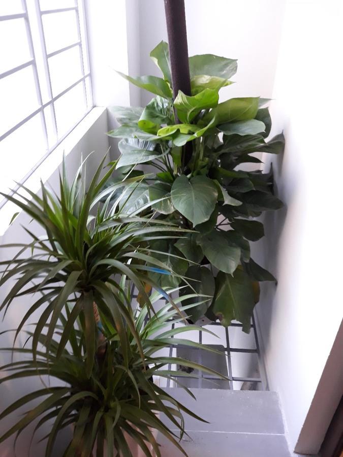 Blue Home Serviced Apartment האנוי מראה חיצוני תמונה
